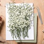 KAOHONG 130Pcs Dried Pressed Baby's Breath Flowers, Real Nature Dried Mini White Gypsophila Flowers for Resin Art Craft DIY Making Wedding Card Home Party Decor