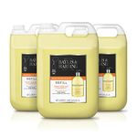 Baylis & Harding Sweet Mandarin and Grapefruit Hand Wash 2 Litre Refill (Pack of 3 - Total 6 litres) - Vegan Friendly