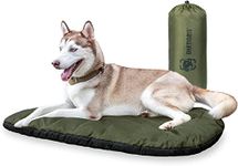 Backpacking Gear For Dogs