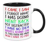 I Came I Saw I Forgot Mug - Birthday Christmas Funny Gift Present Novelty Gift for Mum Dad Friend Sister Brother Grandparents Gift for Him Her Secret Santa Funny Quotes Coffee Mug (Rainbow)