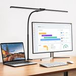 EppieBasic LED Desk lamp,Double Hea