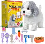 Elrois Walking Dog Teddy Robot Puppy – Talking & Musical Toy Dog for Kids with Leash – Interactive Robot Pet for Girls & Boys – Plush Puppy in Live Pets Style – Stuffed Animal Kids Toy Gift