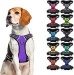 CollarDirect No Pull Reflective Dog Harness with Handle and Front Clip, Adjustible Soft Padded Vest for Small to Large Dogs Training and Walk (Size M, Purple)