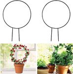 NAYRA Metal Black Round Shape Garden Trellis for Climbing Plants Money Plants |Plant Tales Garden Décor Bacony Décor Plant Supporter (Pack of 2)