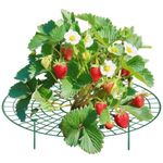 Garden Supports Fruit and Vegetable Gardening