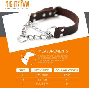 Mighty Paw Leather Martingale Dog Collar – Stainless Steel Chain, Safe Training