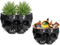 Spooky Double Head Skull Planter Pots 4" H Polyresin Skulls Succulents Outdoor & Indoor Plants & Flowers - Serving Bowl, Skeleton Home Black Goth Décor