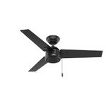 HUNTER 50260 Cassius Outdoor Ceiling Fan with Pull Chain, 44", Matte Black Finish