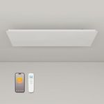 byecold Infrared Panel Heater Built-in Thermostat, Ceiling Mounted Far Infrared Heater, WiFi App Remote Control, Energy Efficient, Ideal for Indoor Home/Office - 1300W
