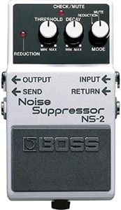 Boss NS-2 