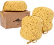 myHomeBody Bath Sponge, Foam Loofah