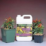 Dyna-gro Bloom, Gallon