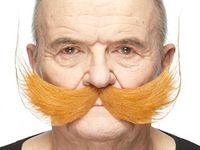 Mustaches Fake Mustache, Self Adhesive, Novelty, Fisherman's False Facial Hair, Ginger Colors