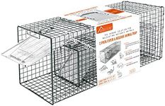 HOMESTEAD 2-Pack Live Animal Trap - Specialized for Raccoons, Opossums, Groundhogs, Skunks, Feral Cats, Squirrels - Heavy Duty Steel Traps, 1-Door, Green, Humane Catch & Release Animal Trap,89-302