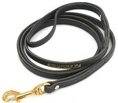 Worlds Leather Leash