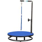Master Equipment Pet Grooming Table for Pets,Blue