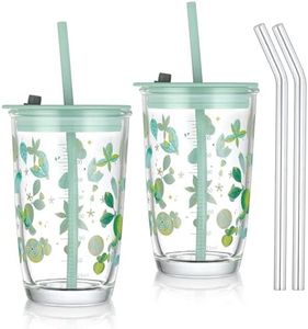 Jeoyan 430 ml Verde Vaso de Vidrio con Tapa Mango y Pajitas,Vaso de Agua de Vidrio con Limón y Motivos Florales,Vaso de Vidrio para Beber Batidos Jugo Boba Té,Juego de 2