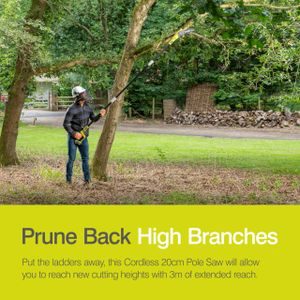 RYOBI ONE+ 18V Cordless Pole Pruner – Lightweight Tree Trimmer