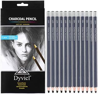 Dyvicl Professional Charcoal Pencils Drawing Set - 12 Pieces Soft, Medium & Hard Charcoal Pencils for Drawing, Sketching, Shading, Artist Pencils for Beginners & Artists