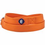 Blueberry Pet Essentials Durable Classic Dog Leash | Basic Nylon Dog Leash | 5ft. x 5/8" Small Dog Leash | Orange Vermilion Dog Leash | Standard Dog Leashes & Lightweight Dog Leash for Training