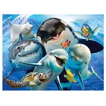 Howard Robinson HR28552 Selfie Ocean Super 3D Children's Wall Poster, multicolored