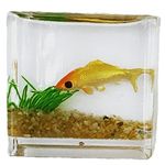 PiniceCore Miniature Glass Fish Tank 1/12 Scale Miniature Dollhouse Fish Tank Models Accessory Toy for Dolls