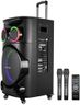 ZEBRONICS GINOX Plus Party Trolley DJ Speaker,160W,Upto 10H Battery,Karaoke,BT V5.0 | TWS | USB | Msd | 2X Mic & Guitar Input | Aux in/Out,RGB LED,12Full Range Driver,with 2X UHF Wireless Mic,Black