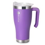 Bluwing Tumbler with Handle-30 oz Stainless Steel Double Wall Insulated Tumbler with Lid, Travel Leak Proof Coffee Mug Cup, BPA Free（Purple） Tumbler with Handle and Straw