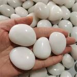 White Pebbles Stone 5kg Polished White Pebbles for Garden |Shiny Polished Marble Stone Pebbles for Vase Fillers Outdoor/Indoor | Pebbles for Garden Pots (5Kg, 30-50 mm, White)