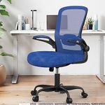 Office Chair, Ergonomic Desk Chair with Adjustable Lumbar Support & Seat Height, High Back Mesh Computer Chair with Flip-up Armrests Task Chairs (Modern, Royal Blue)