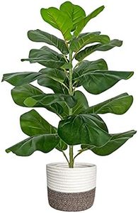 BESAMENATU