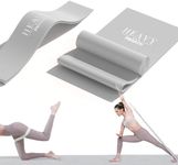 PROIRON 2M Resistance Band Gray Set