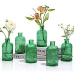 ComSaf Glass Bud Vases Set of 6, Small Clear Bud Vases in Bulk, Mini Vintage Decorative Bottles, Modern Floral Centerpiece for Flowers, Wedding Recepetion, Home Decor, Housewarming Gift (Green)