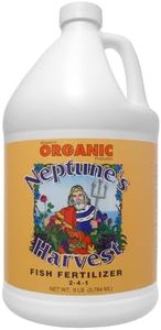 Neptune's 