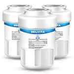 3 Pack GE MWF Refrigerator Water Filter Compatible with GE MWF, MWFINT, Kenmore 46-9991, SmartWater, MWFP, MWFA, GWF, HDX FMG-1, WFC1201, GSE25GSHECSS, PC75009, RWF1060, 197D6321P006(3 Pack,White)