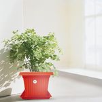 VINSHRA 10 Inch Red Flower Pot with Bottom Tray and Drainage Hole, Set of 3/ Indoor and Outdoor Use Pot/Planter Square Plastic Planter for Balcony Terrace/Uv Treated Heavy Duty Planter Home Decoration