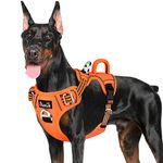 SlowTon No Pull Dog Harness, Heavy Duty No Choke Pet Harness with 2 Leash Clips and Easy Control Vertical Handle, Adjustable Soft Padded Dog Vest for Small, Medium and Large Dogs(Orange,L)