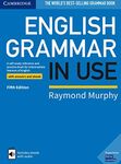 English Grammar in Use Book with An