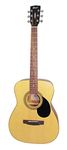 Cort AF510OP Acoustic Guitar