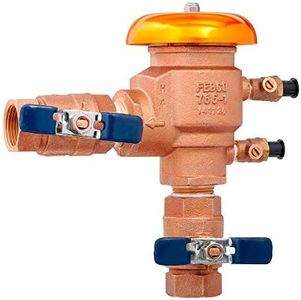 Febco 765EBV 1 inch NPT Bronze Pressure Vacuum Breaker 765-1 BV