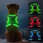 MASBRILL Light Up Dog Harness - Led