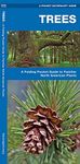 Trees: A Folding Pocket Guide to Familiar North American Plants