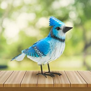 Blue Jay M