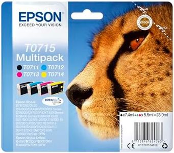 Epson C13T