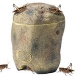 Navaris Reptile Cricket Feeding Roc
