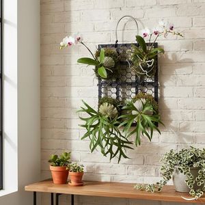 Dranvosk Staghorn Fern Mounting Board Hanging Wall Planter Plant Holder Plant Holder for Plants, Garden Home Decor, Indoor Outdoor Use(22 * 16CM)
