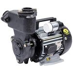 Kirloskar Jalraaj I 1 HP Pump (Multicolor)