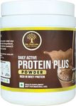 Nature's Plus Energy Powders