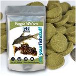 Spirulina Veggie Algae Wafers Pleco Catfish Tropical Bulk Fish Food ONE LB - Bottom Feeders