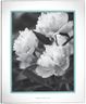 Kate Spade New York Take The Cake 8" X 10" Frame, 2.60 LB, Metallic